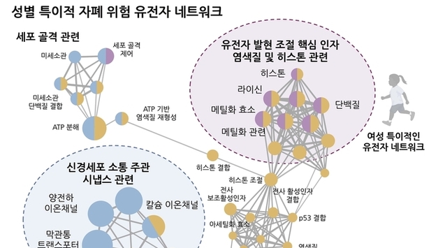 "남성 유병률이 여성의 4배" 자폐 유전자 성별 차이 밝혔다